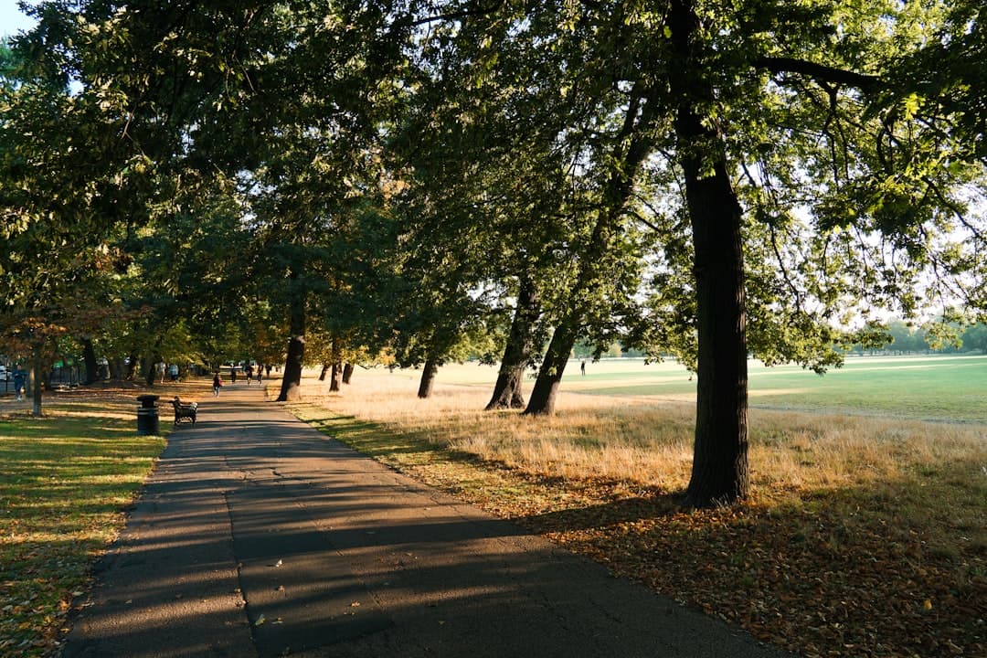 Beginner runners jogging together on a path in a UK park during daytime