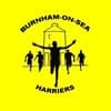 Burnham-on-Sea Harriers logo