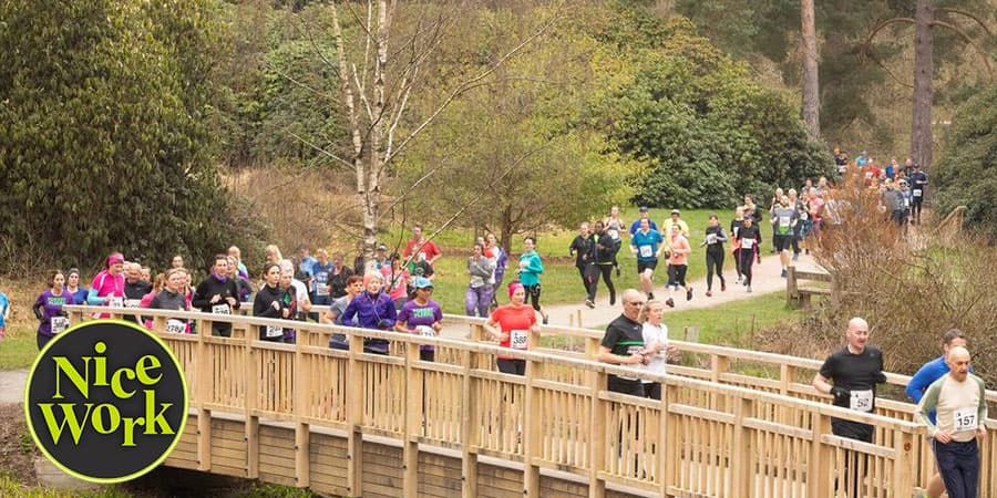 Bedgebury Forest Half Marathon & 10K banner
