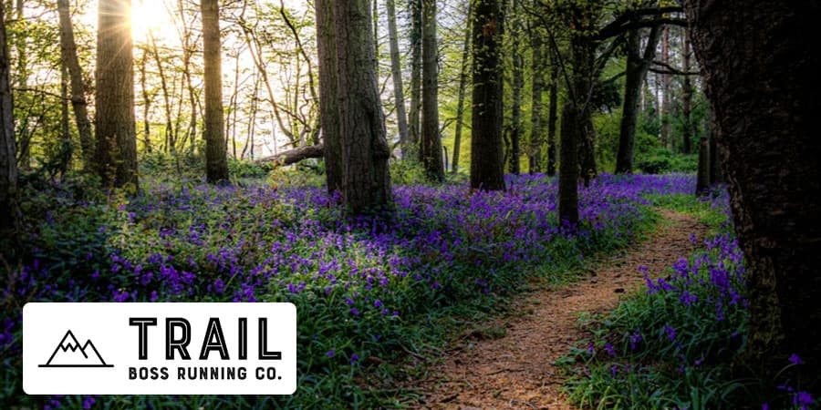 Sundowner Trail Marathon banner